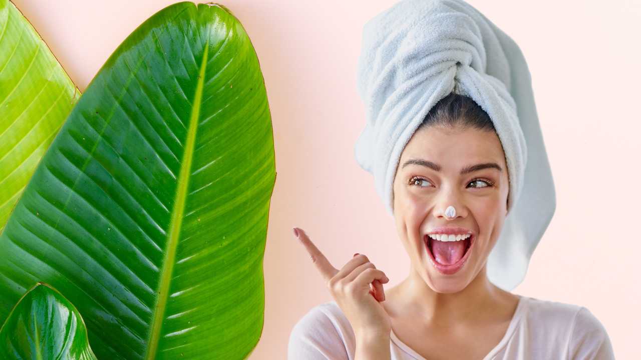 banana leaves