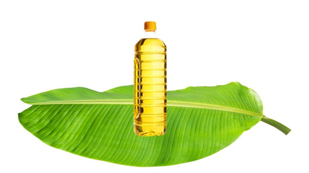 Oil made of banana leaves can help as well.