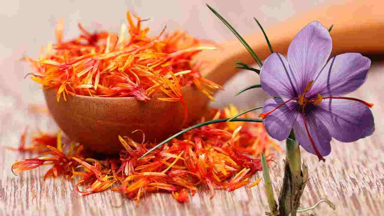 Most Expensive Spice In India