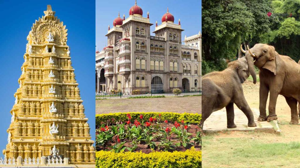 Mysore