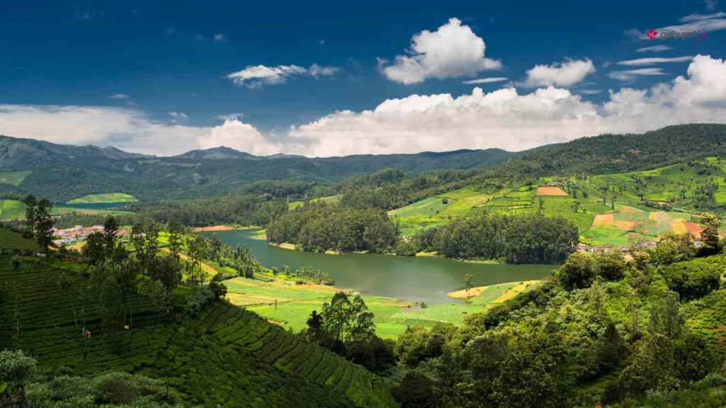 Ooty